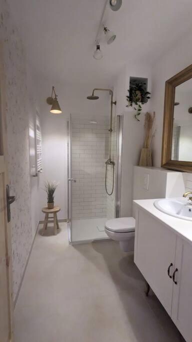 Apartament&Spa Lis&Las Sobótka Zewnętrze zdjęcie